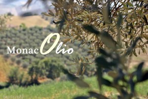 Monaco Olio