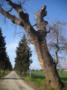 foto3
