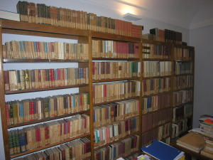 Biblioteca Bindi