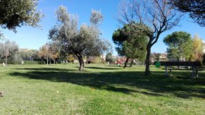 Parco Cerasari di Via del Campetto Giulianova
