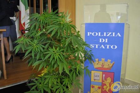 Nascondeva in casa hashish e piante di marijuana: arrestata donna