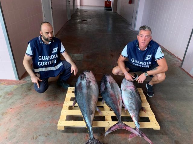 Giulianova, sequestro di prodotti ittici. Sanzionato un peschereccio