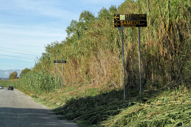 Colonnella, vegetazione copre i segnali stradali: tagli "fai da te"
