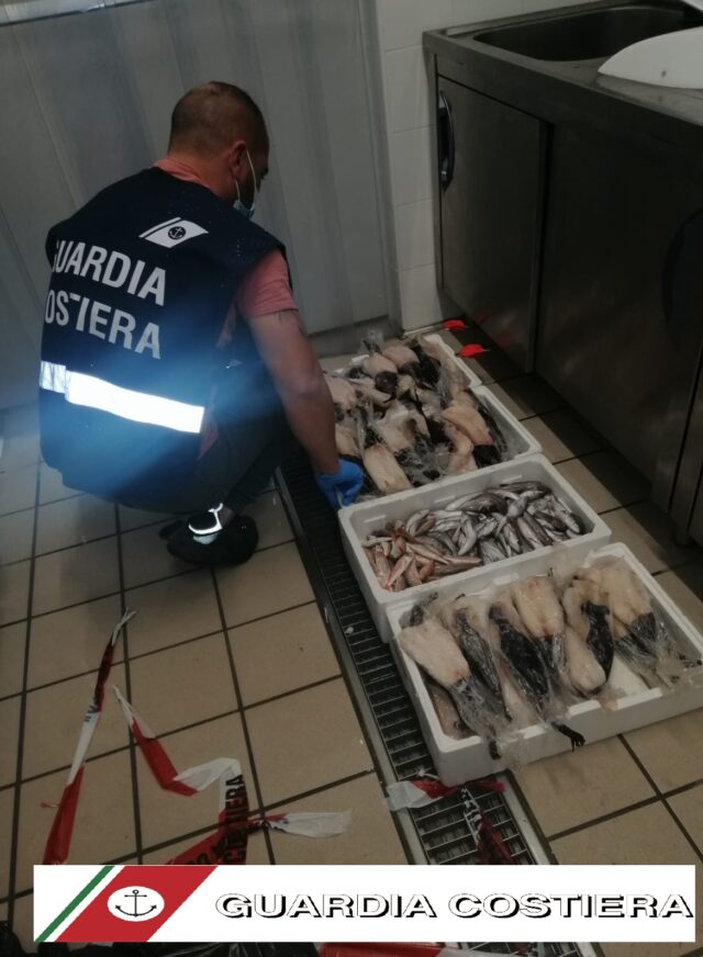 Guardia costiera: ispezionati mercato ittico, pescherie e pescatori sportivi 
