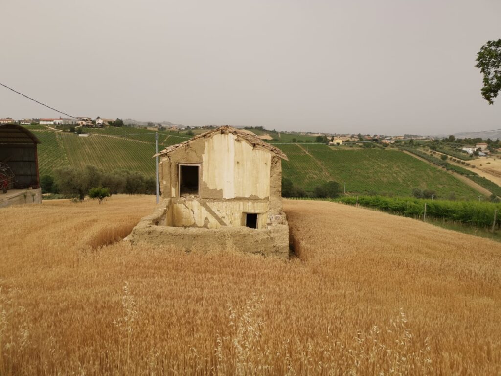 “Le pinciare: modello di bioarchitettura tra tradizione e innovazione”