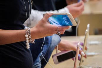 Luce blu schermi smartphone invecchia? L’alert in uno studio sui moscerini