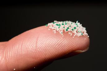 Ambiente, ossa a rischio per le nanoplastiche, studio italiano