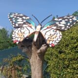 Giulianova, due istallazioni artistiche al giardino delle farfalle