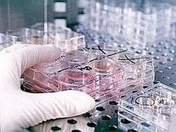 Fecondazione, non solo endometriosi: il nuovo protocllo che combatte l’adenomiosi
