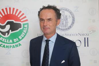 Agroalimentare, Assolatte: “I consumatori devono sapere se comprano latte o un prodotto chimico”