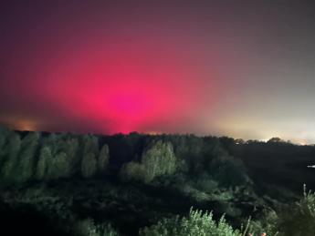 Crede di asistere all’aurora, ma è una fabbrica di pomodori: l”abbaglio’ colpa dei Led