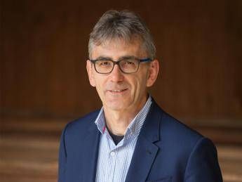 Sfide e opportunità nell’industria del legno di latifoglia americana