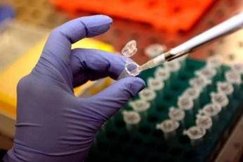 Farmaci, anticorpo monoclonale possibile scudo contro batterio Shigella