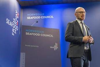 Food, il mercato ittico retail italiano cresce ancora: oltre 4 miliardi di euro nel 2026